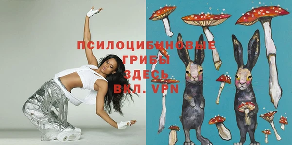 таблы Армянск